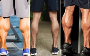 Get Bigger Calves