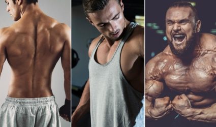 Muscle Building Body Types