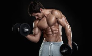 DHEA for Bodybuilding