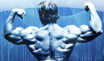 Arnold Schwarzenegger’s Blueprint to Mass