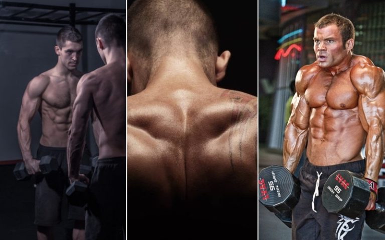 How to Build Massive Neck Muscles : Tips for a Big Neck — MO Marketplace