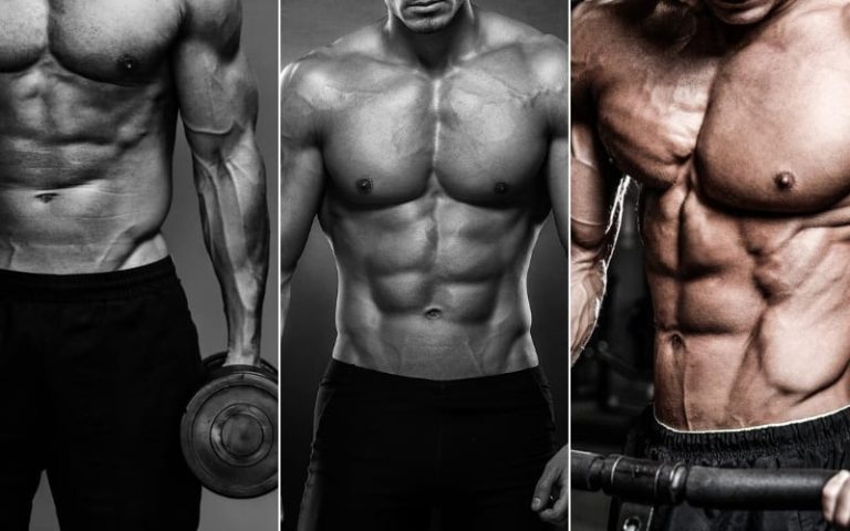 lean-vs-shredded-what-is-the-difference-mo-marketplace