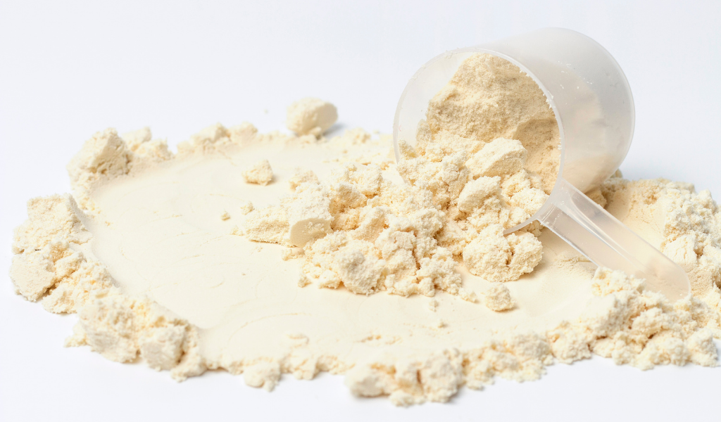 casein powder